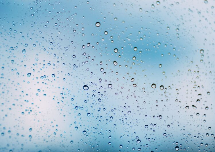 梅雨が明けた【VOL.262】